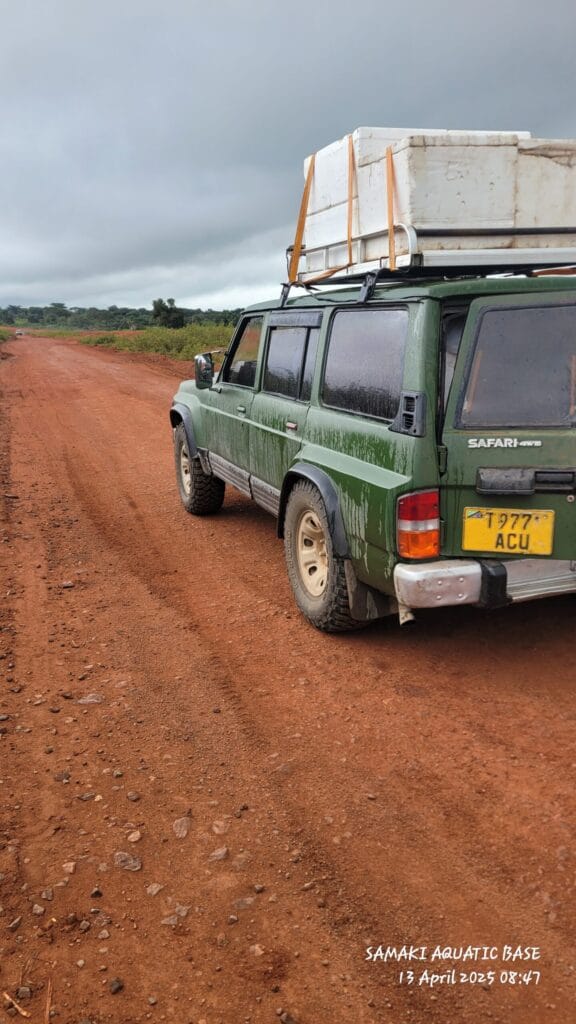 Nissan Patrol bei poa sokoni Dar es salaam Tanzania