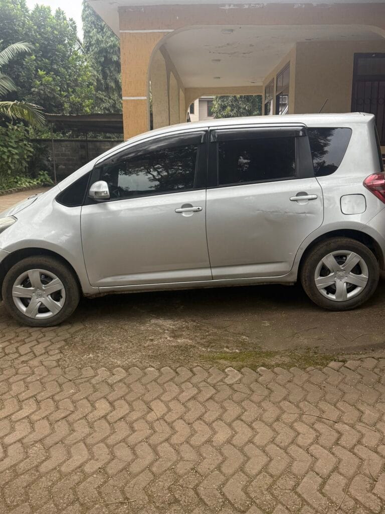 Magari Sokoni Toyota Ractis ya Bei Poa 2010