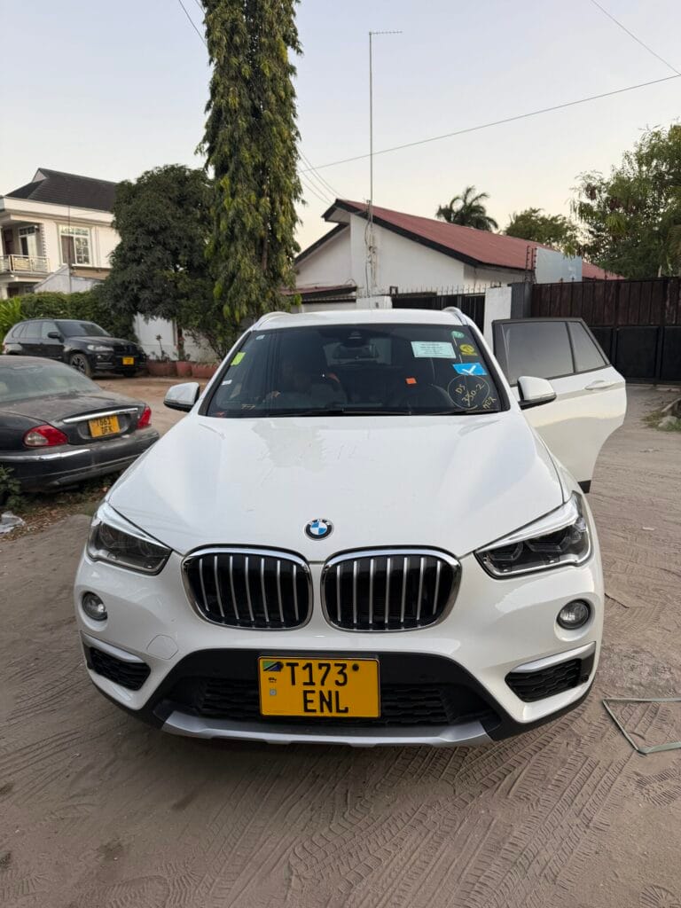 Magari X1 2016 lipo Geita