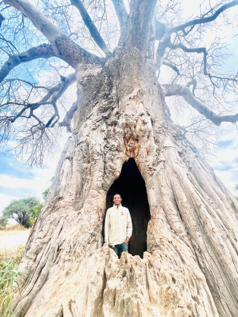 Price Toyota Alphard 2004 for Sale in Arusha