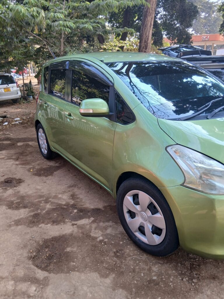 Magari Ractis 2006 lipo Kilimanjaro