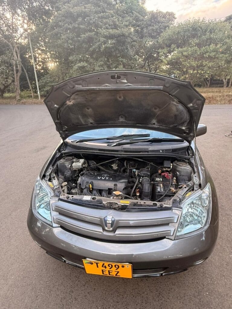 Magari Sokoni Toyota IST ya Bei Poa 2004