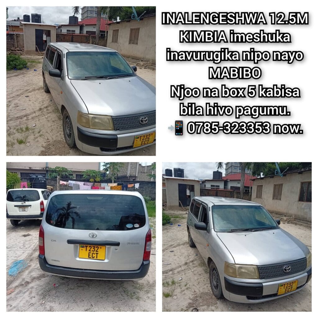 Used Toyota Probox 2006 for Sale in Dar es salaam