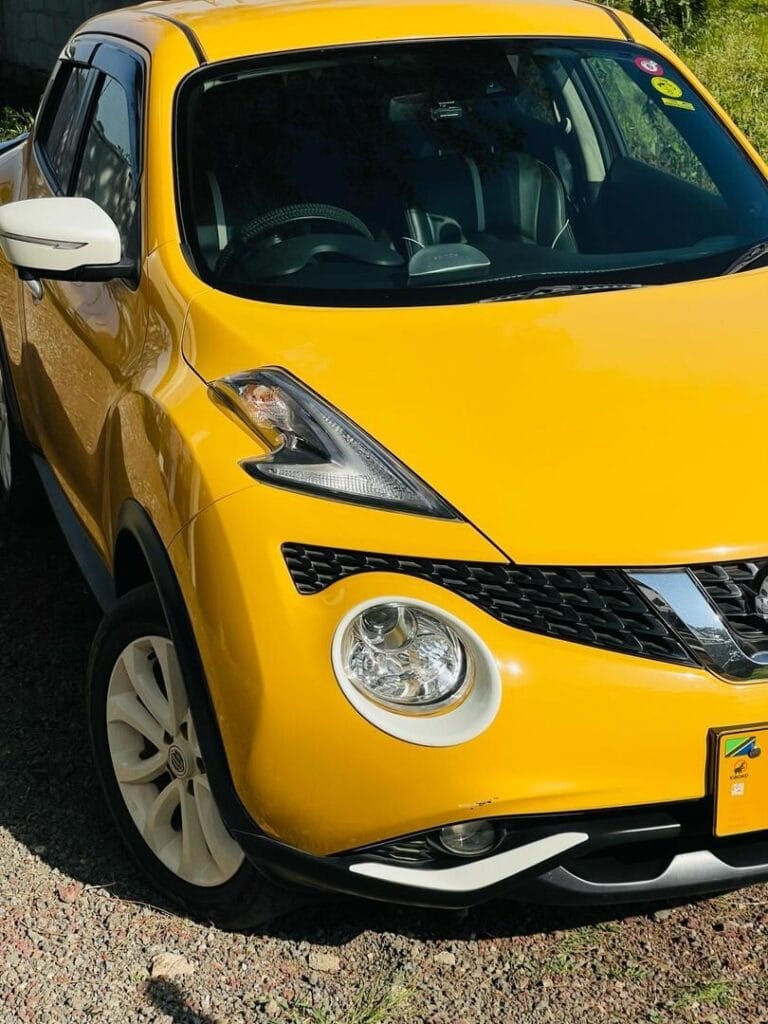 Buy Nissan Juke 2010 for Sale in Arusha