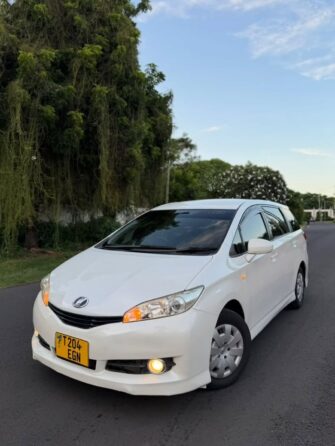 Bei Ya Toyota Wish 2010 Sokoni Dar es Salaam Tanzania