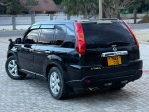 Used Nissan X-Trail 2010 for Sale in Dodoma