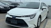 Magari Sokoni Toyota Corolla ya Bei Poa 2020