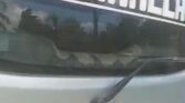 Used Nissan Caravan 2006 for Sale in Dar es Salaam