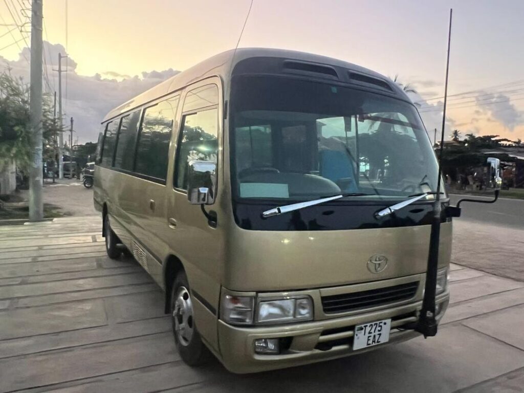 Price Of Toyota Coaster 2004 for Sale in Tanzania