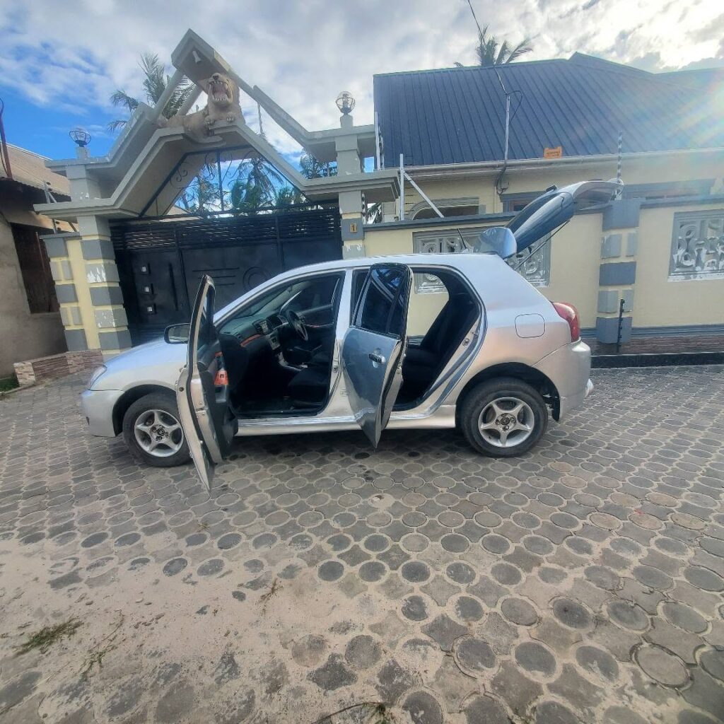 Buy Toyota RunX 2004 for Sale in