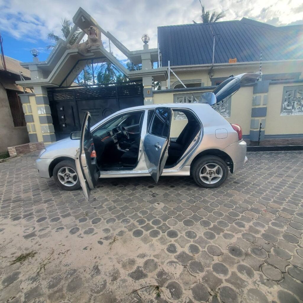 Toyota RunX 2004 for Sale in