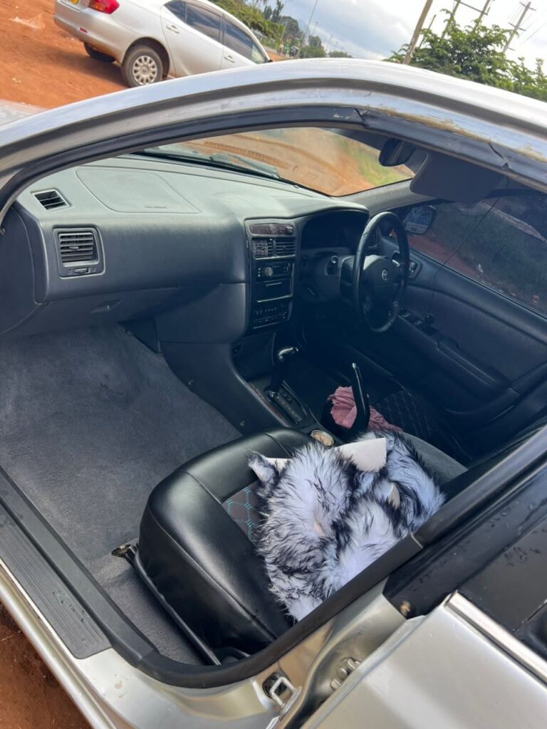 Buy Toyota Carina 1998 for Sale in Mbeya