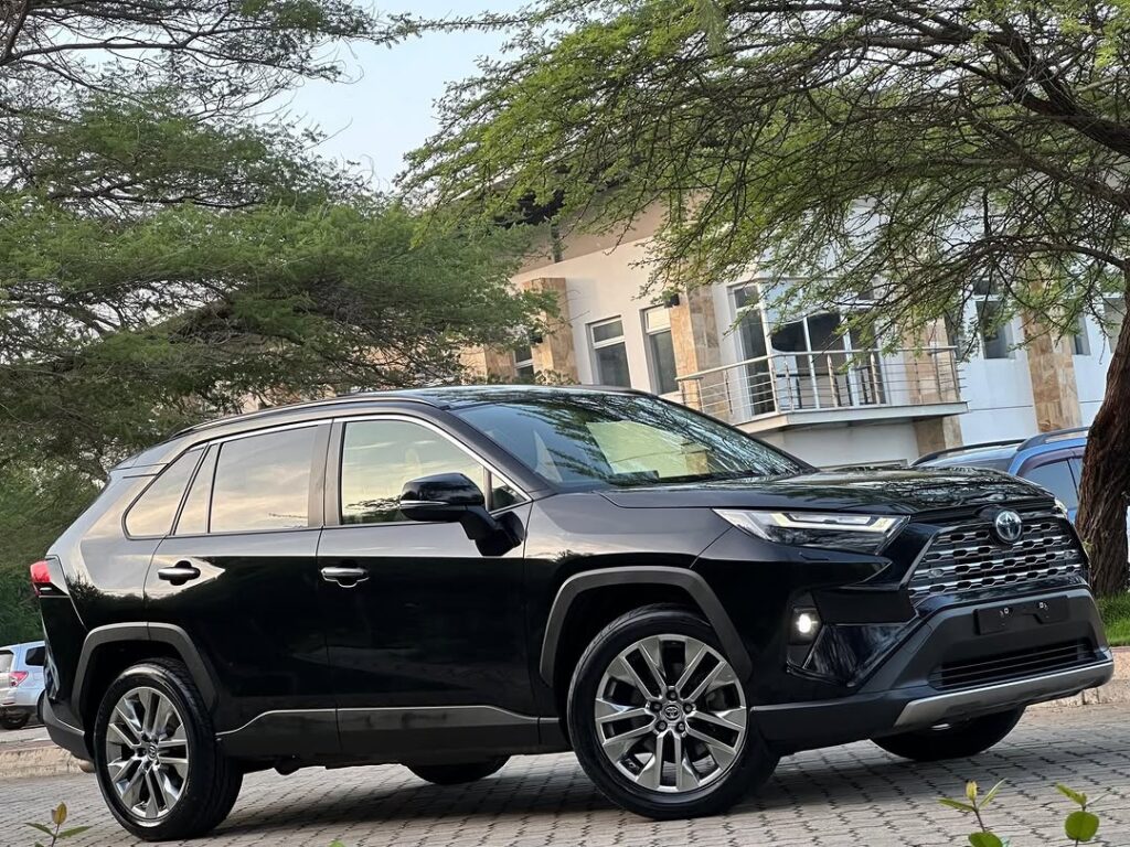 Magari Rav4 2019 lipo Dar es Salaam