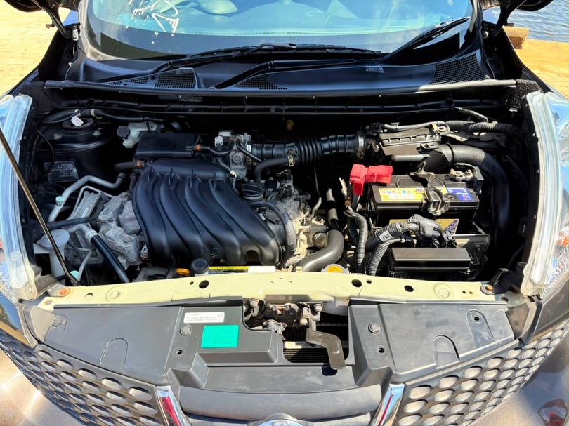 Magari Used Nissan Juke 2011 Mwanza Tanzania