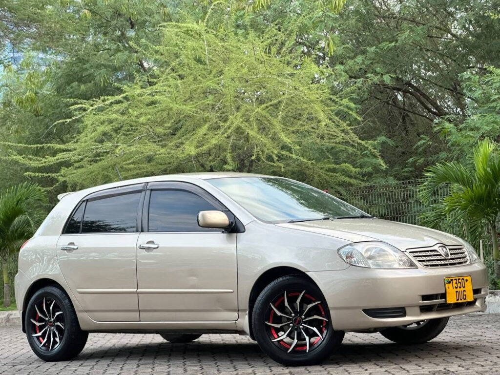 Magari Sokoni Toyota Allex ya Bei Poa 2003