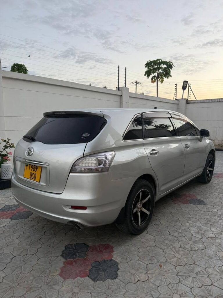 Toyota Mark X Zio 2008 for Sale in Dar es Salaam
