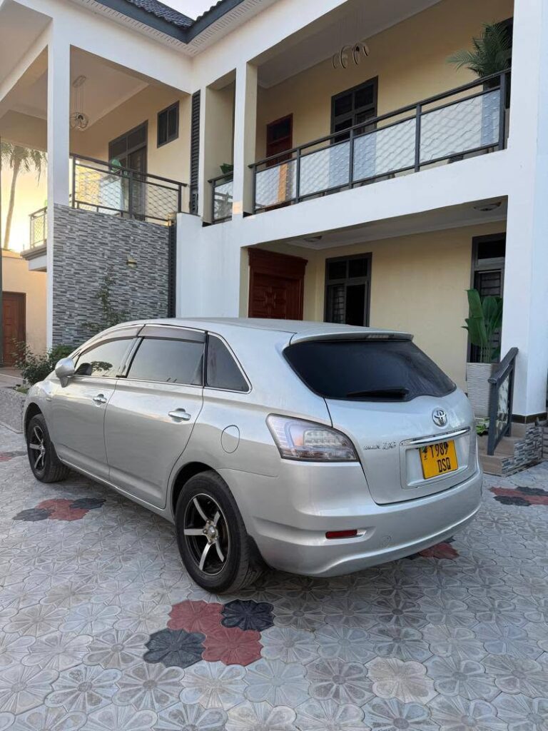 Toyota Mark X Zio 2008 for Sale in Dar es Salaam