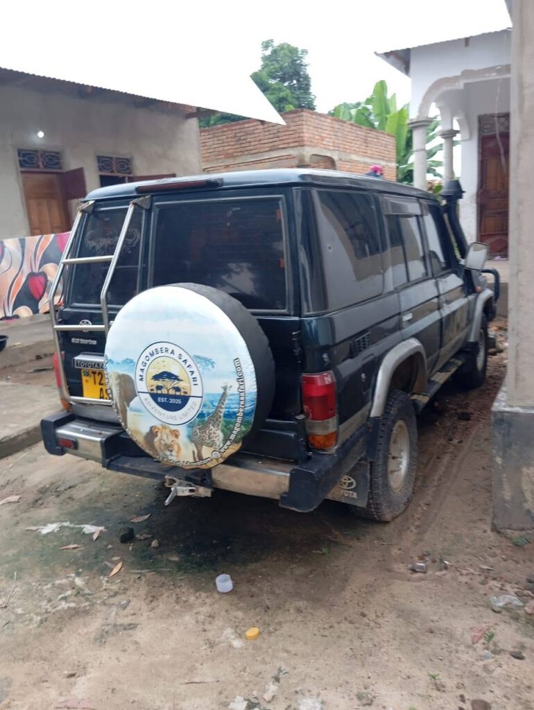 Price Of Toyota Land Cruiser Prado 1995 for Sale in Tanzania