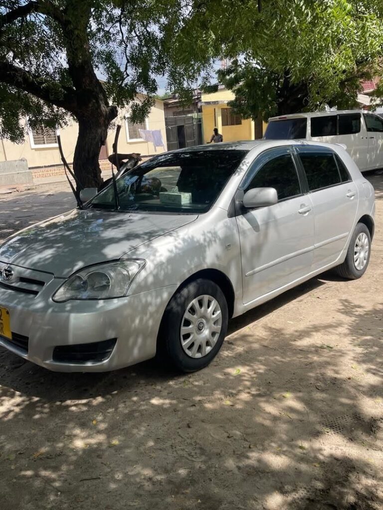 Buy Toyota RunX 2004 for Sale in Dar es Salaam