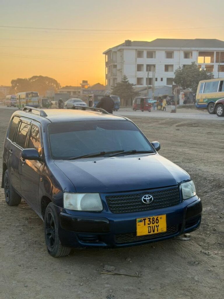 Buy Toyota Probox 2008 for Sale in Tanga