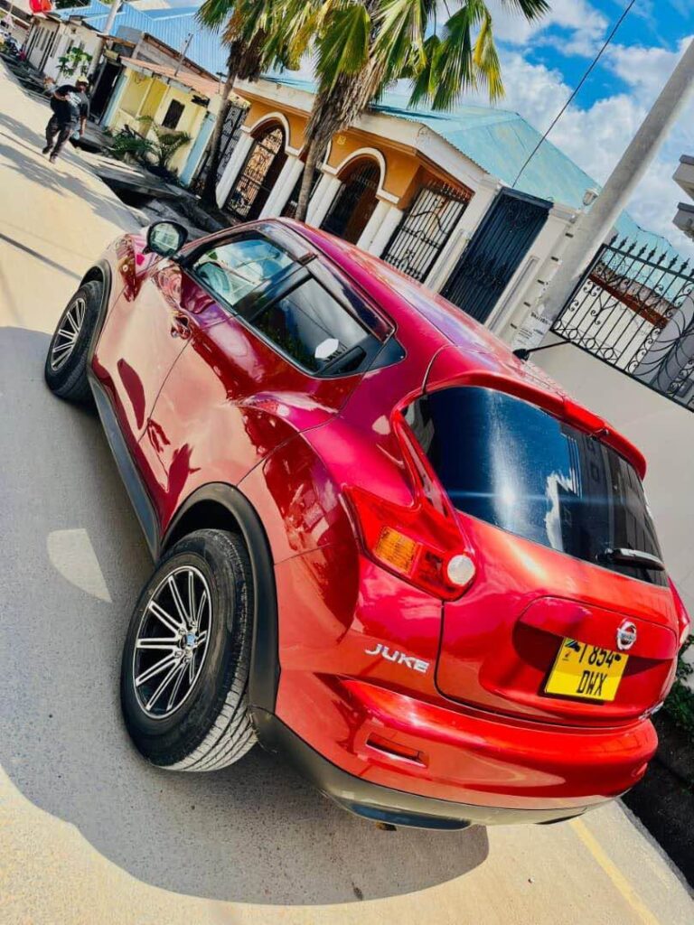 Price Of Nissan Juke 2014 for Sale in Tanzania