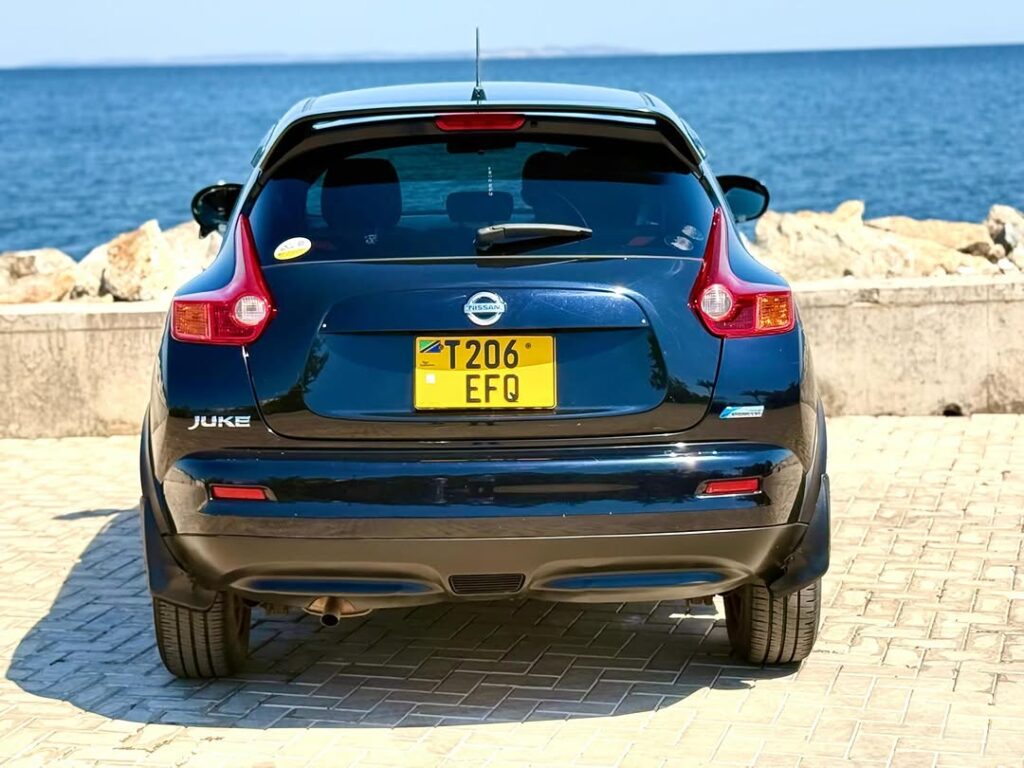Buy Nissan Juke 2011 for Sale in Mwanza