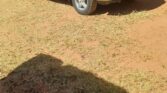 Bei ya Toyota Harrier 2001 Sokoni Njombe Tanzania