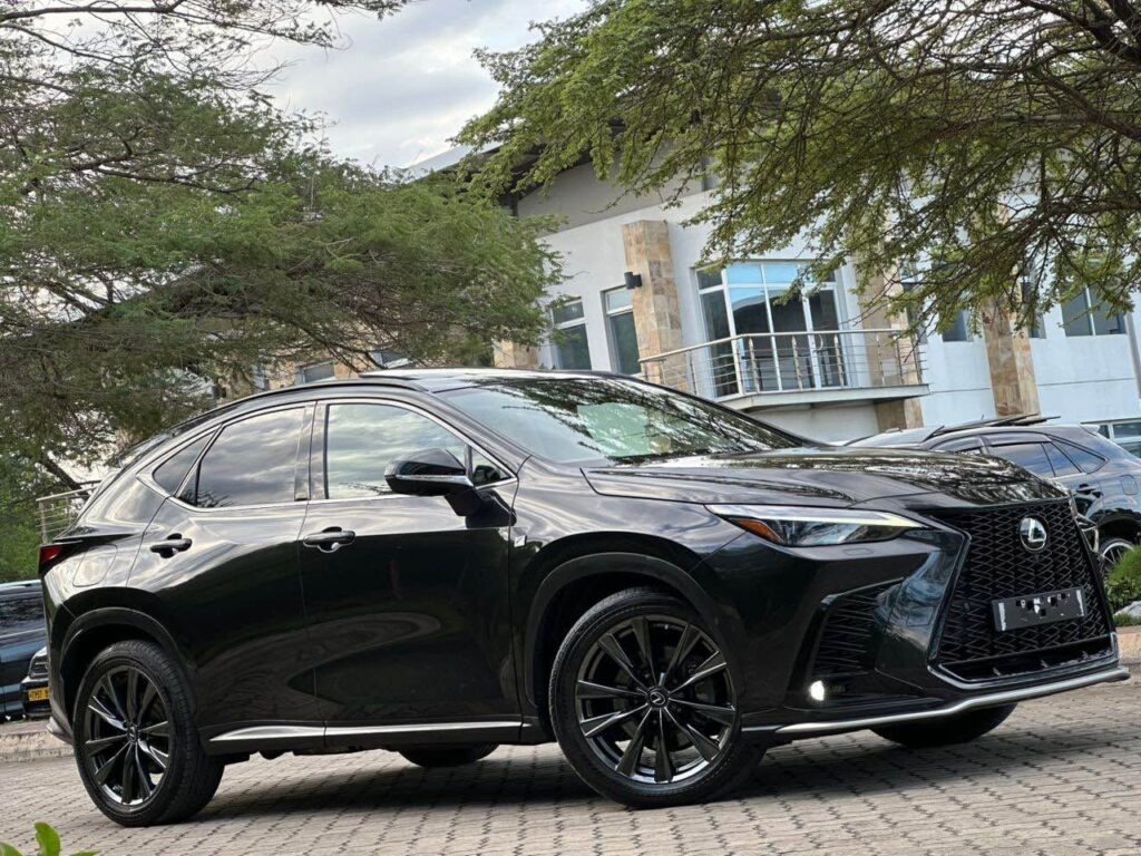 Buy Lexus NX 2022 for Sale in Dar es Salaam