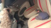 Nissan March bei poa sokoni Mbeya Tanzania