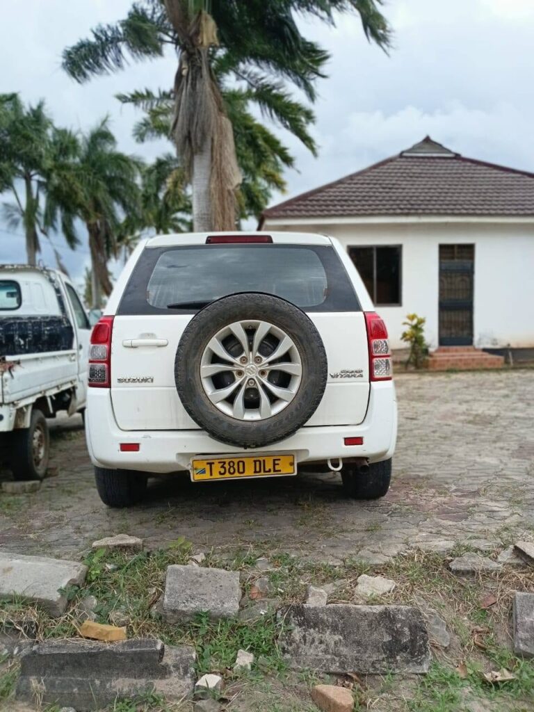 Price Of Suzuki Grand Vitara 2010 for Sale in Tanzania