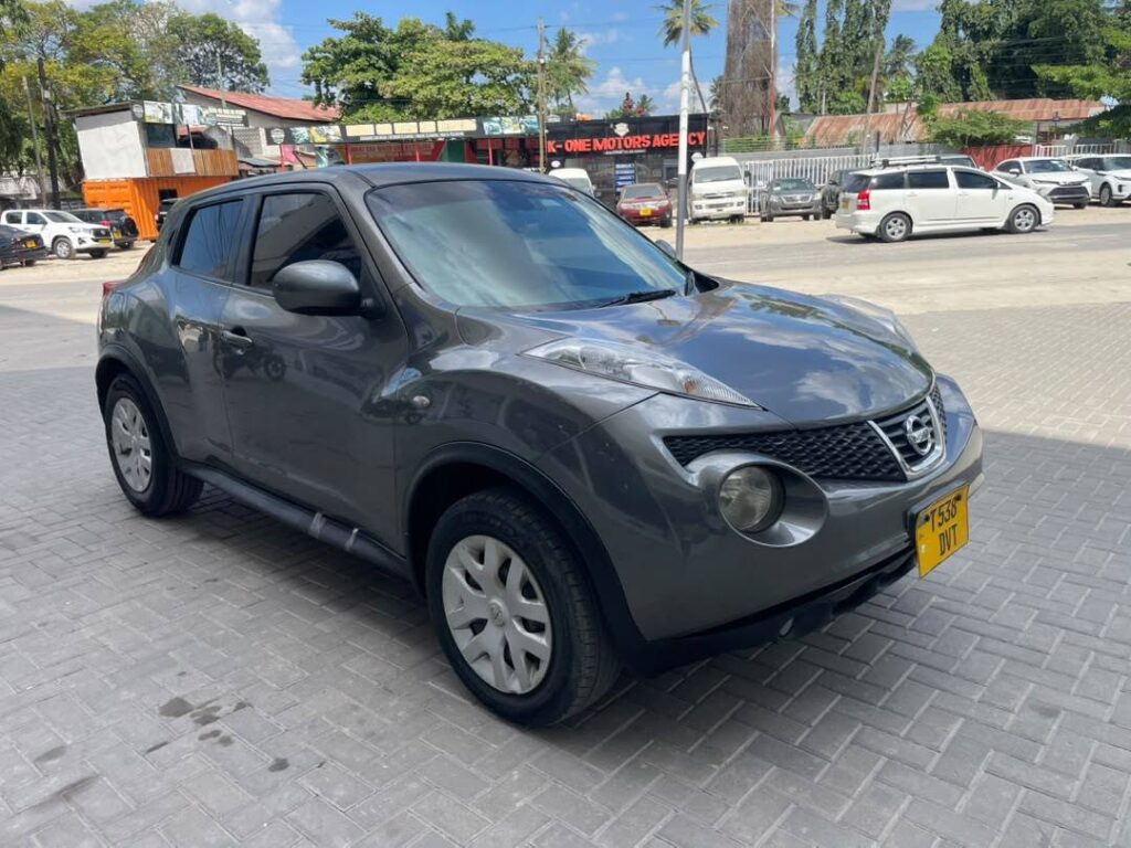Magari Sokoni Nissan Juke ya Bei Poa 2011
