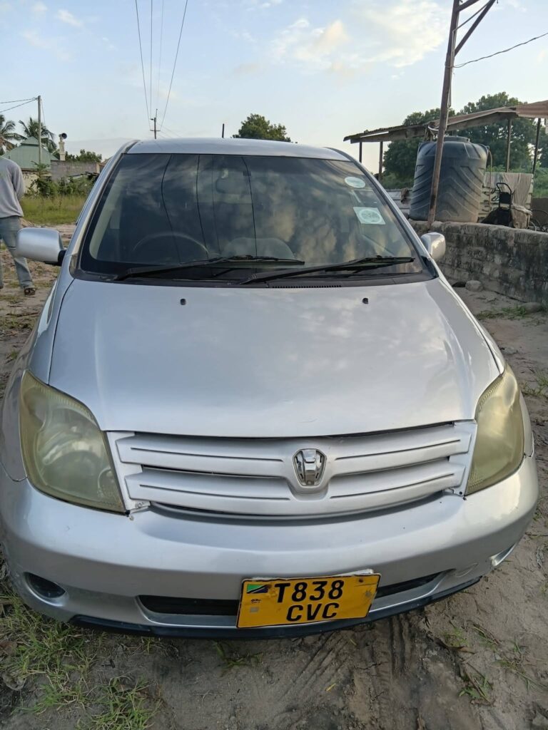 Magari Sokoni Toyota IST ya Bei Poa 2004