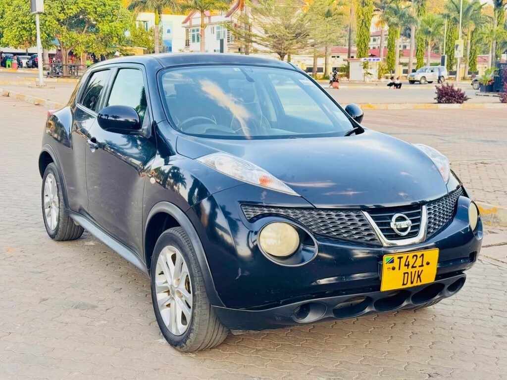 Buy Nissan Juke 2012 for Sale in Mwanza