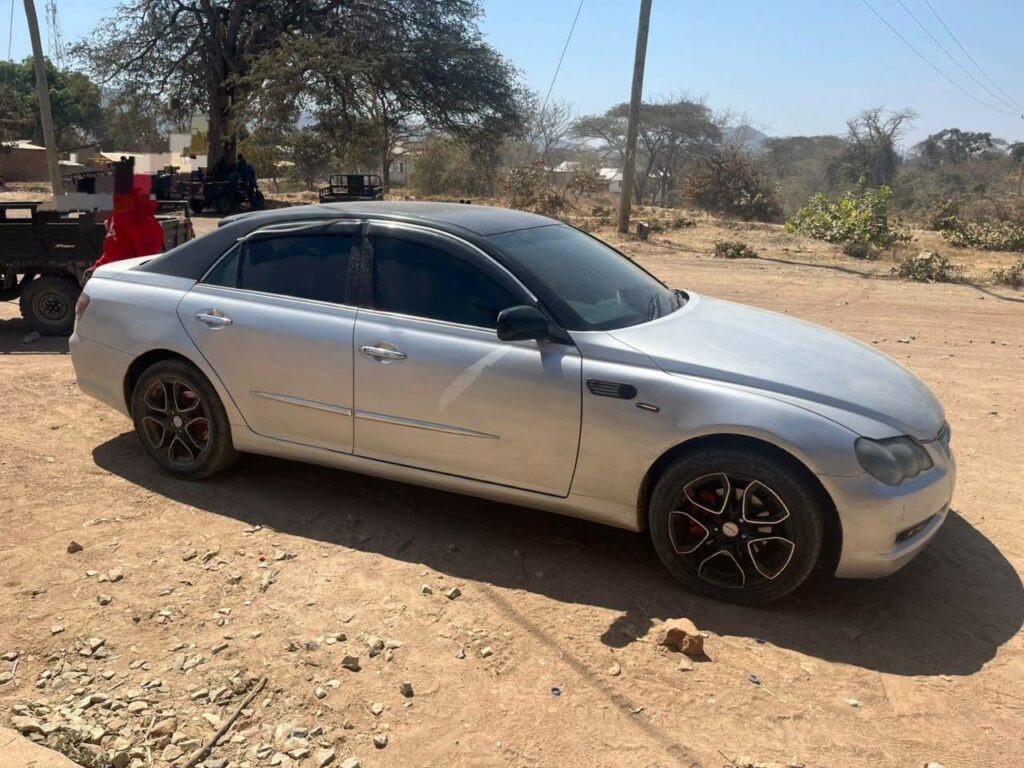 Magari Mark X 2006 lipo Mbeya