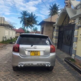 Bei Ya Toyota Allex 2005 Sokoni Dar es Salaam Tanzania