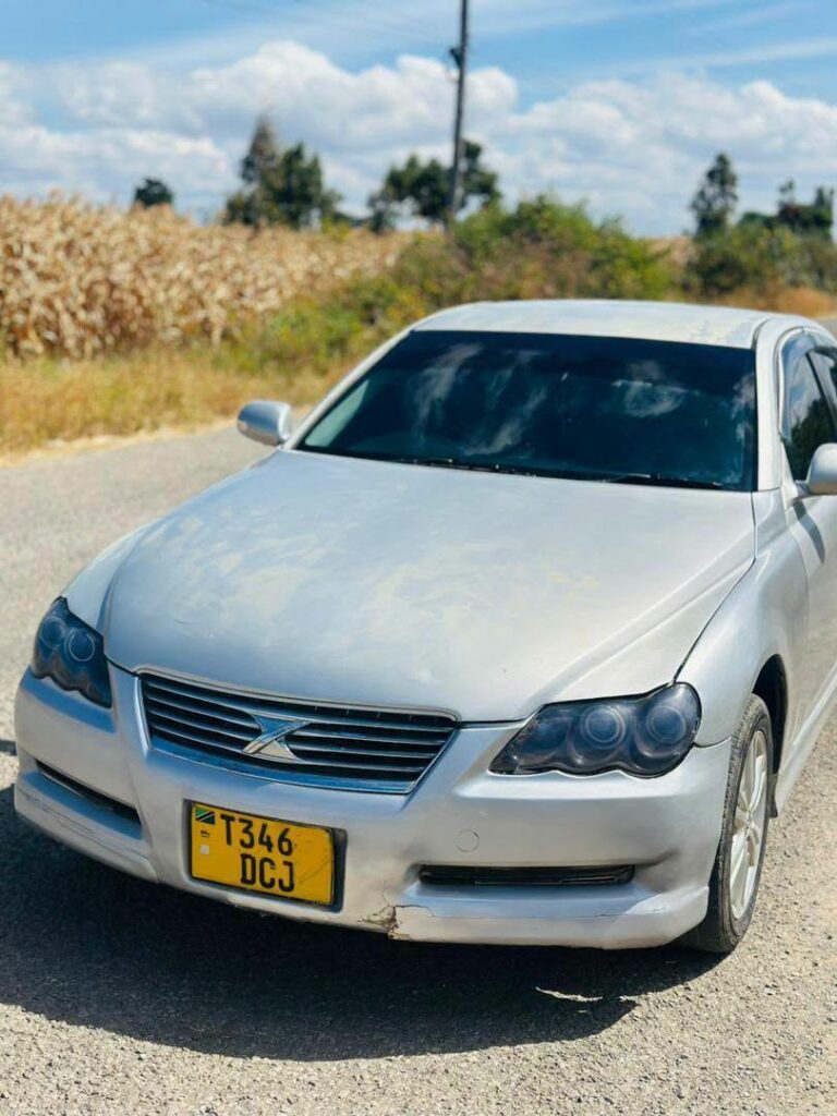Price Of Toyota Mark X 2006 for Sale in Tanzania