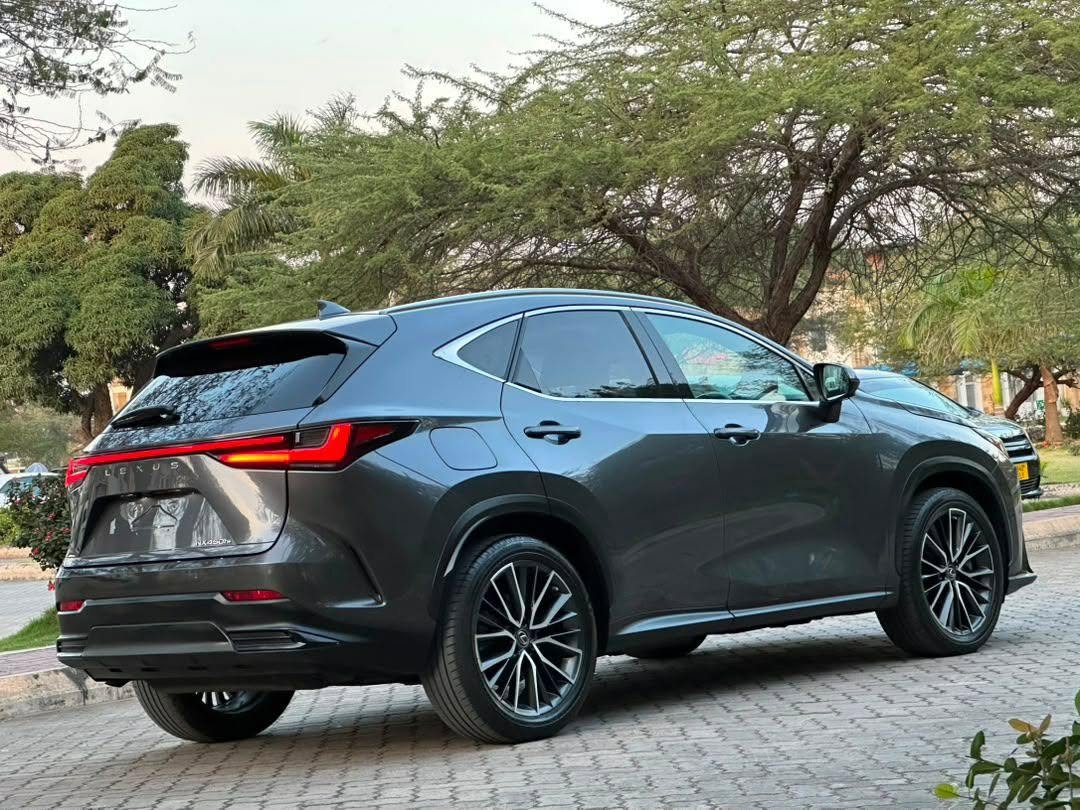 Lexus NX 2022 for Sale in Dar es Salaam